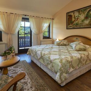 Hotel Conacul Ambient
