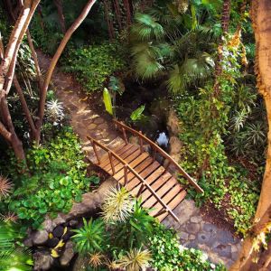 Hotel Botanico The Oriental Spa Garden (Puerto de la Cruz)