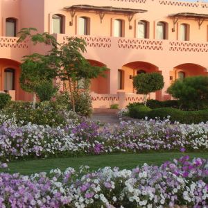 Hotel Resta Reef Resort