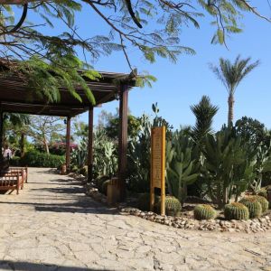 Tamra Beach Sharm