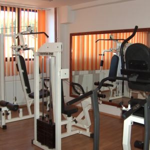 Hotel Alex Horezu