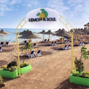 Lemon and Soul Makadi