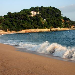 HOTEL FENALS GARDEN 4