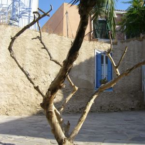 Hotel Aegina