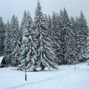 Malina Holiday Village