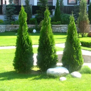 Hotel Evelina Palace