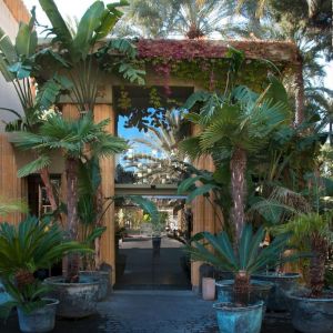 Hotel Huerto del Cura