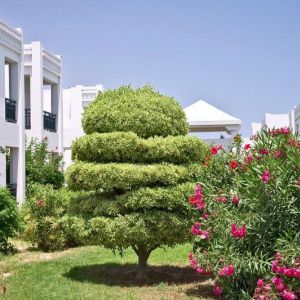 Hotel El Borj