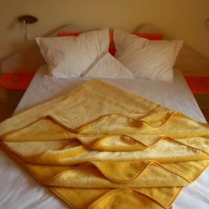 Hotel Majestic Jupiter