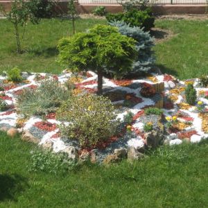 Hotel Valul Magic
