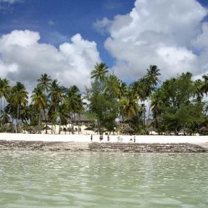 Diamonds Dream Of Zanzibar