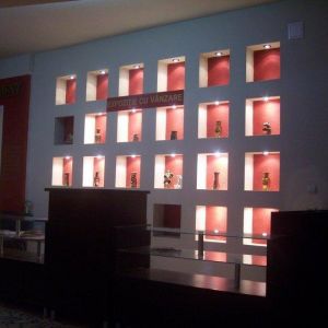 Hotel Parc Moneasa