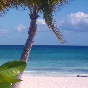 Hotel Paraiso de la Bonita