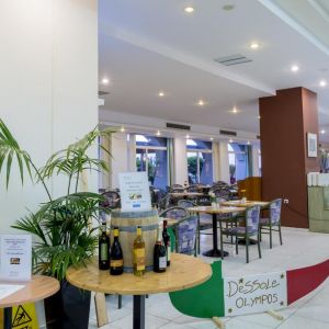 Hotel Olympos Beach