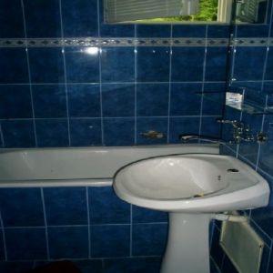 Hotel Bradul