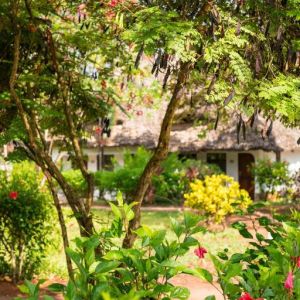 Hotel Sandies Baobab Beach