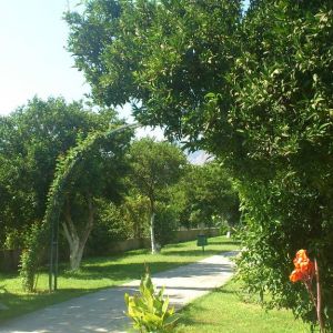 Hotel Garden Resort Bergamot