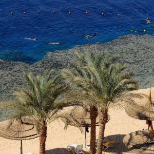 Reef Oasis Beach Resort