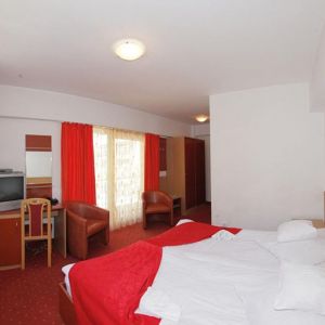 Hotel International Herculane