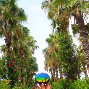 Hotel Holiday Park