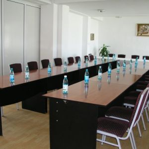 Hotel Diana Sambata de Sus