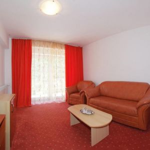 Hotel International Herculane