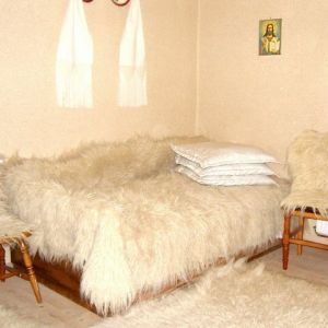 Pensiunea Lia Barsana