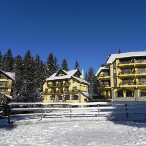 Hotel Casa Viorel