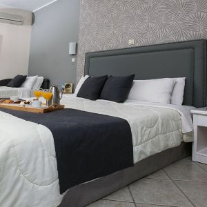 Hotel Alia Palace