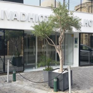 Livadhiotis City Hotel