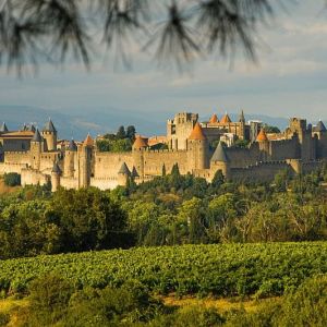 FRANTA MEDIEVALA - Pour les connaisseurs