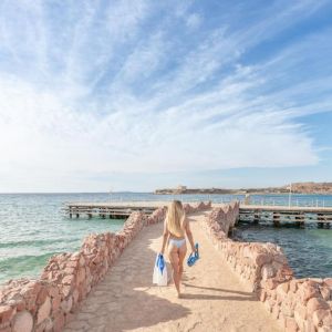 Albatros Sharm Resort By Pickalbatros