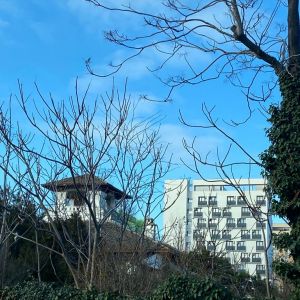 Hotel Unirea by Recif