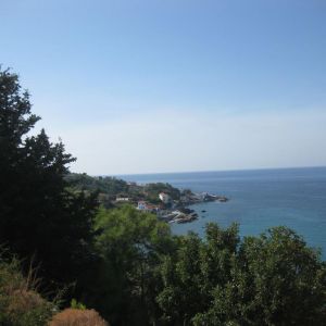 Villa Violetta