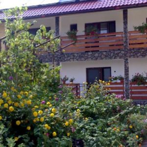 Pensiunea Dana Horezu