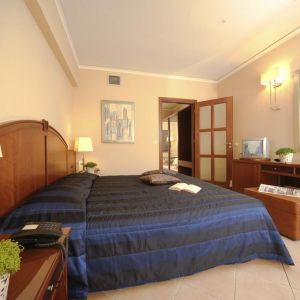 Hotel Theartemis Palace