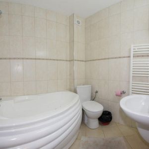 Hotel Paltinis Borsa