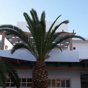 Hotel Rethymno Residence Aquapark and Spa