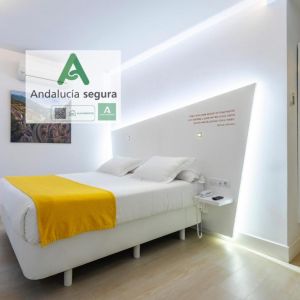 Atarazanas Malaga Boutique Hotel
