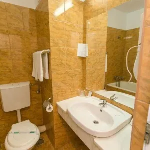 Hotel Poienita