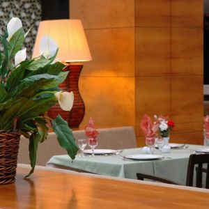 Hotel Meder Resort