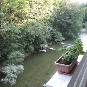 Hotel Roman