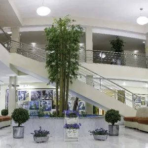 Hotel Paradiso