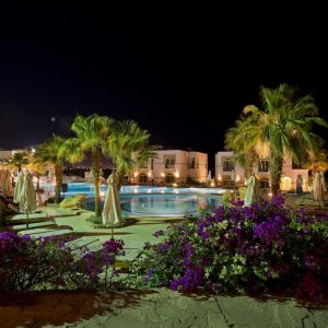 Hotel Shores Aloha ( ex Otium)