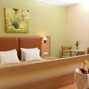 Hotel Pallas
