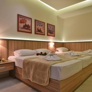 Hotel Dafni Plus