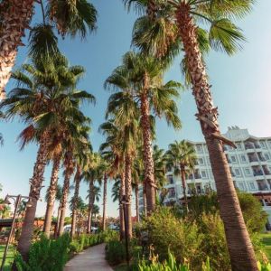 Hotel Royal Atlantis Beach