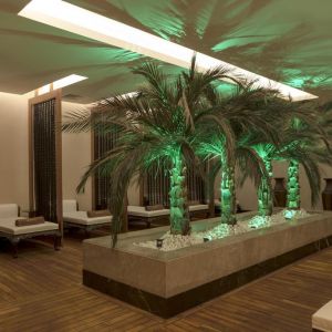 Hotel Delphin Imperial