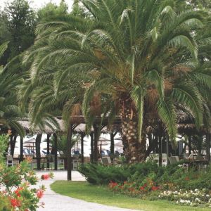 Hotel Porto Carras Sithonia Beach