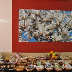 Hotel Parc Moneasa